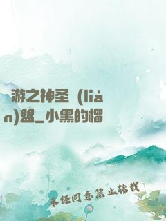 網游之神圣聯(lián)盟