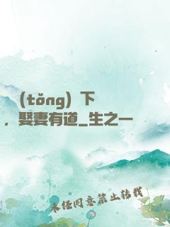 總統(tǒng)閣下，娶妻有道