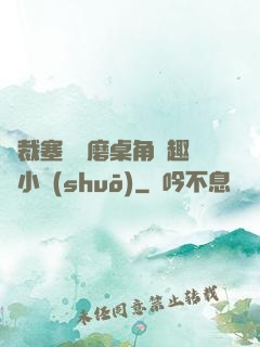 總裁塞鋼筆磨桌角筆趣樓小說(shuō)