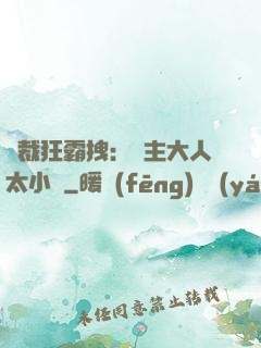 總裁狂霸拽：債主大人太小氣