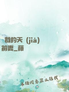 總裁的天價(jià)前妻