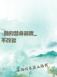 總裁的替身前妻
