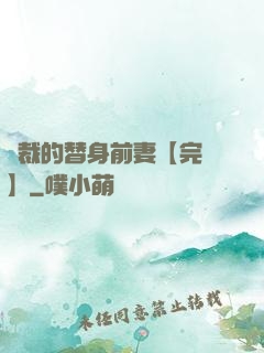 總裁的替身前妻【完結】