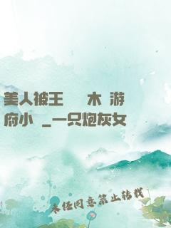 美人被王爺罰騎木驢游府小說
