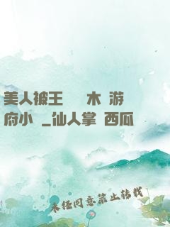 美人被王爺罰騎木驢游府小說