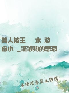 美人被王爺罰騎木驢游府小說