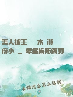 美人被王爺罰騎木驢游府小說