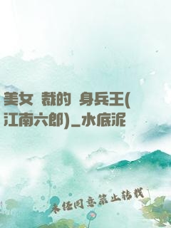 美女總裁的貼身兵王(江南六郎)