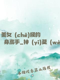 美女車(chē)模的貼身高手