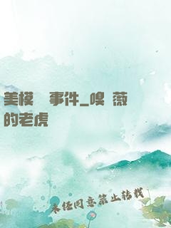 美模謀殺事件