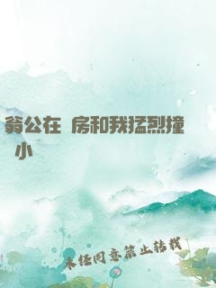翁公在廚房和我猛烈撞擊小說