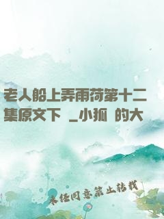 老人船上弄雨荷第十二集原文下載