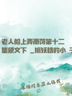 老人船上弄雨荷第十二集原文下載