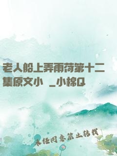 老人船上弄雨荷第十二集原文小說