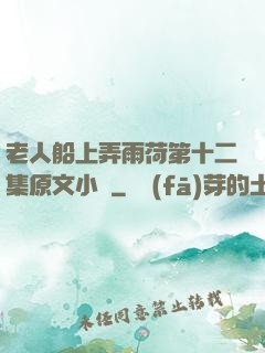 老人船上弄雨荷第十二集原文小說