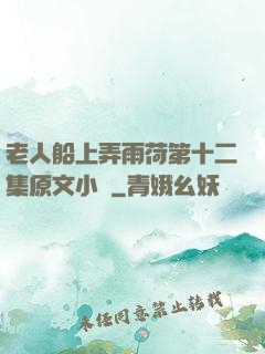 老人船上弄雨荷第十二集原文小說