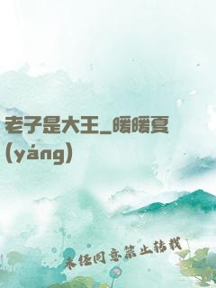 老子是大王
