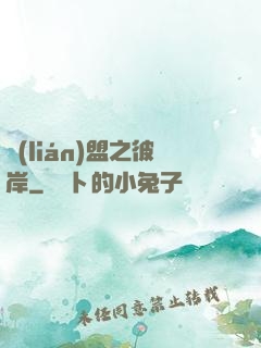 聯(lián)盟之彼岸