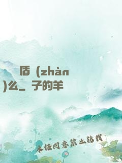 聽說過盾戰(zhàn)么