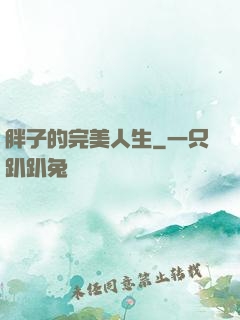 胖子的完美人生