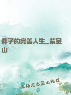 胖子的完美人生