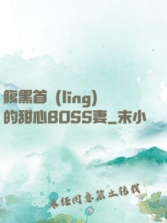 腹黑首領(lǐng)的甜心BOSS妻