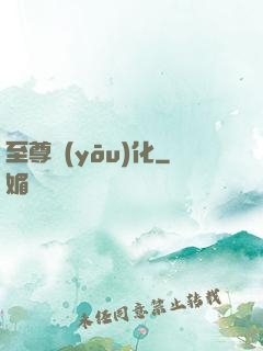 至尊優(yōu)化