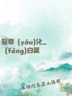 至尊優(yōu)化