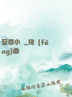 至尊小廝