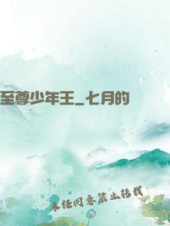 至尊少年王