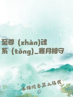 至尊戰(zhàn)魂系統(tǒng)