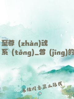 至尊戰(zhàn)魂系統(tǒng)