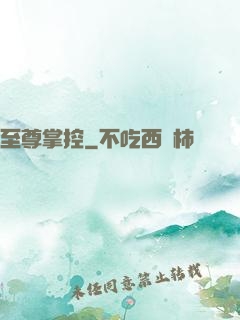 至尊掌控
