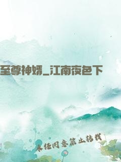 至尊神婿