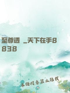 至尊透視