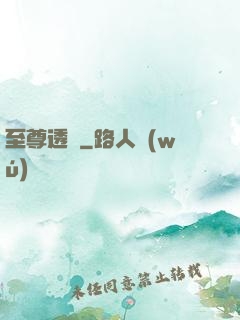 至尊透視