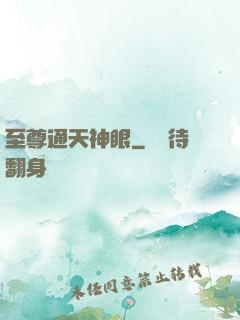 至尊通天神眼