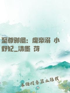 至尊邪凰：魔帝溺寵小野妃