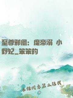 至尊邪凰：魔帝溺寵小野妃