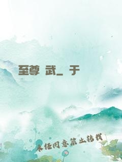 至尊靈武