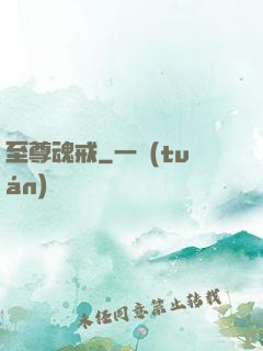 至尊魂戒