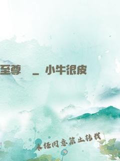 至尊龍帥