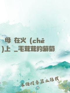 與母親在火車(chē)上鋪
