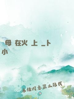 與母親在火車上鋪