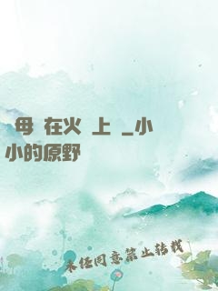 與母親在火車上鋪