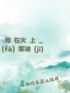 與母親在火車上鋪
