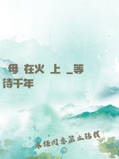 與母親在火車上鋪