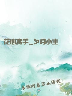 花心高手