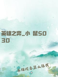 英雄之弈