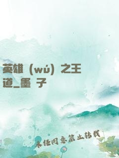 英雄無(wú)敵之王道